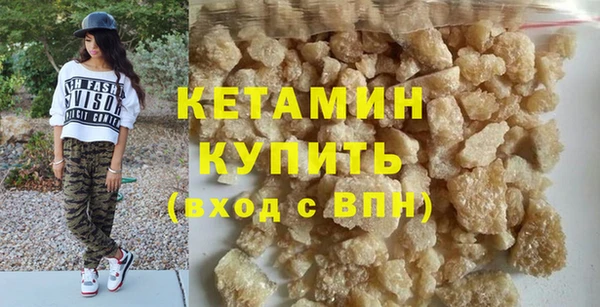 индика Гусев