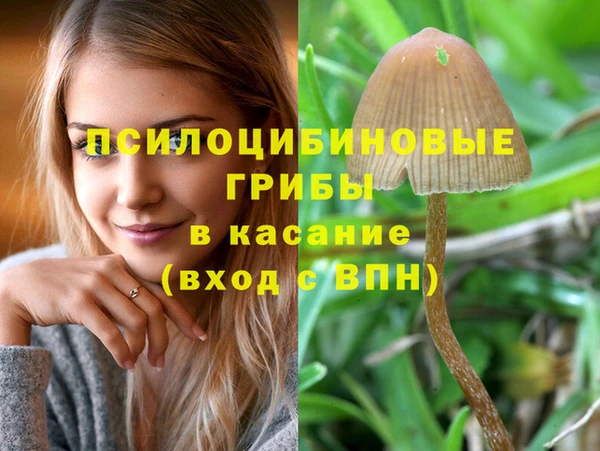 mdpv Гусиноозёрск