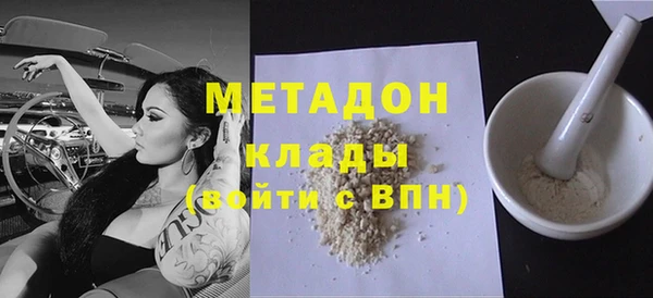 индика Гусев