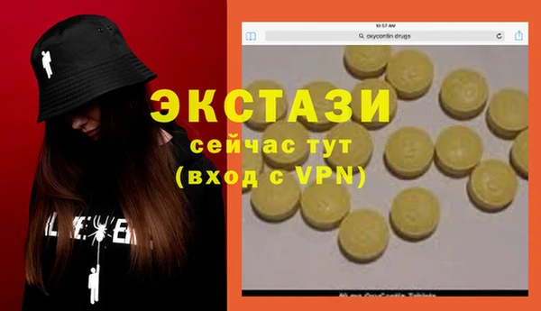 индика Гусев