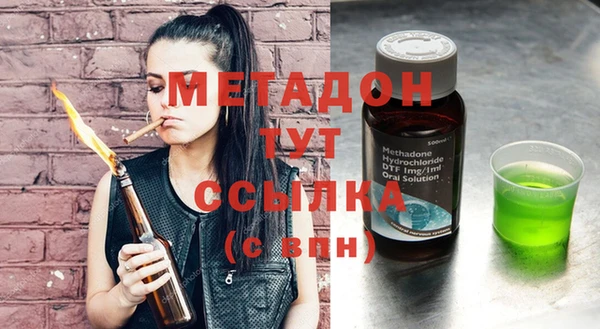 индика Гусев