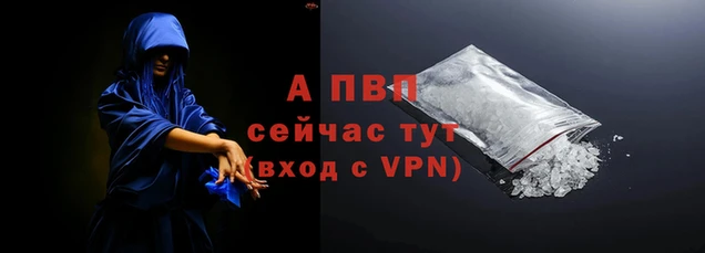 индика Гусев