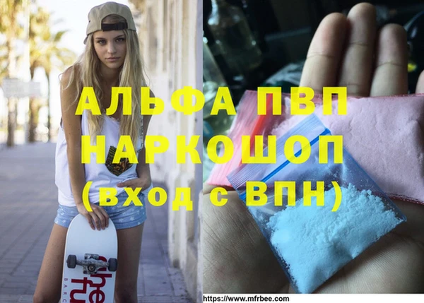 стаф Волгодонск