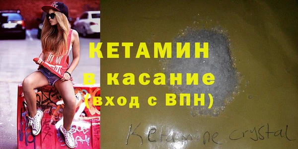 индика Гусев