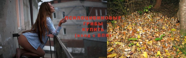 mdpv Дмитриев