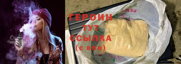 индика Гусев