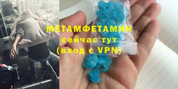 индика Гусев