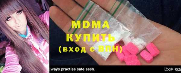 индика Гусев