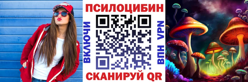 Купить где Новоузенск Галлюциногенные грибы ЛСД